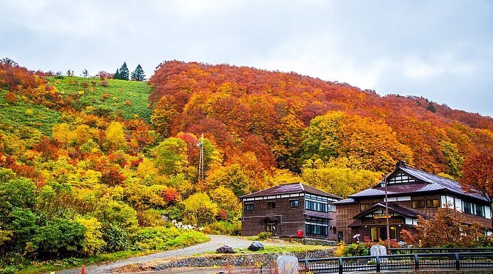 🍎 도로 휴게소 나미오카 애플힐 (미치노에키 나미오카 압푸루히루) 이미지 1